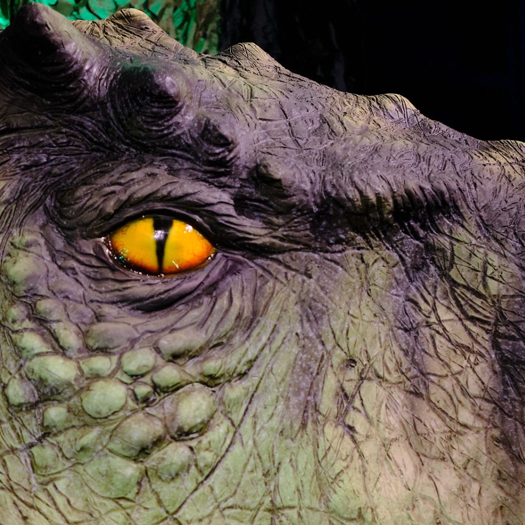 On Stories and Monsters